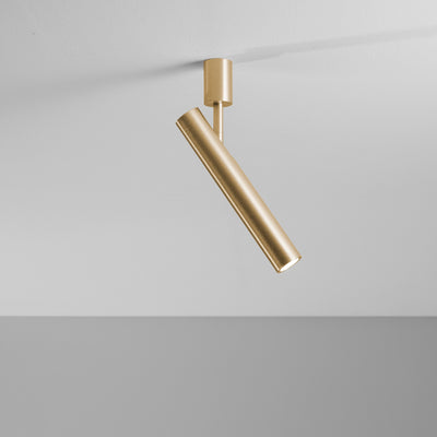 Ego Light