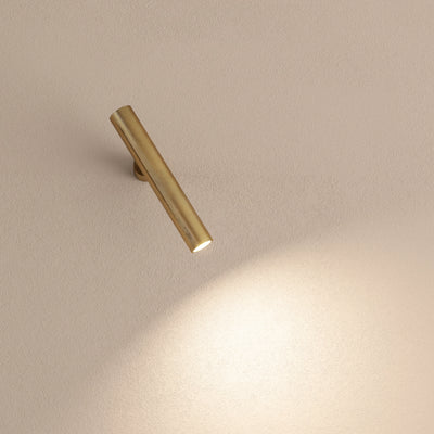 Ego Light