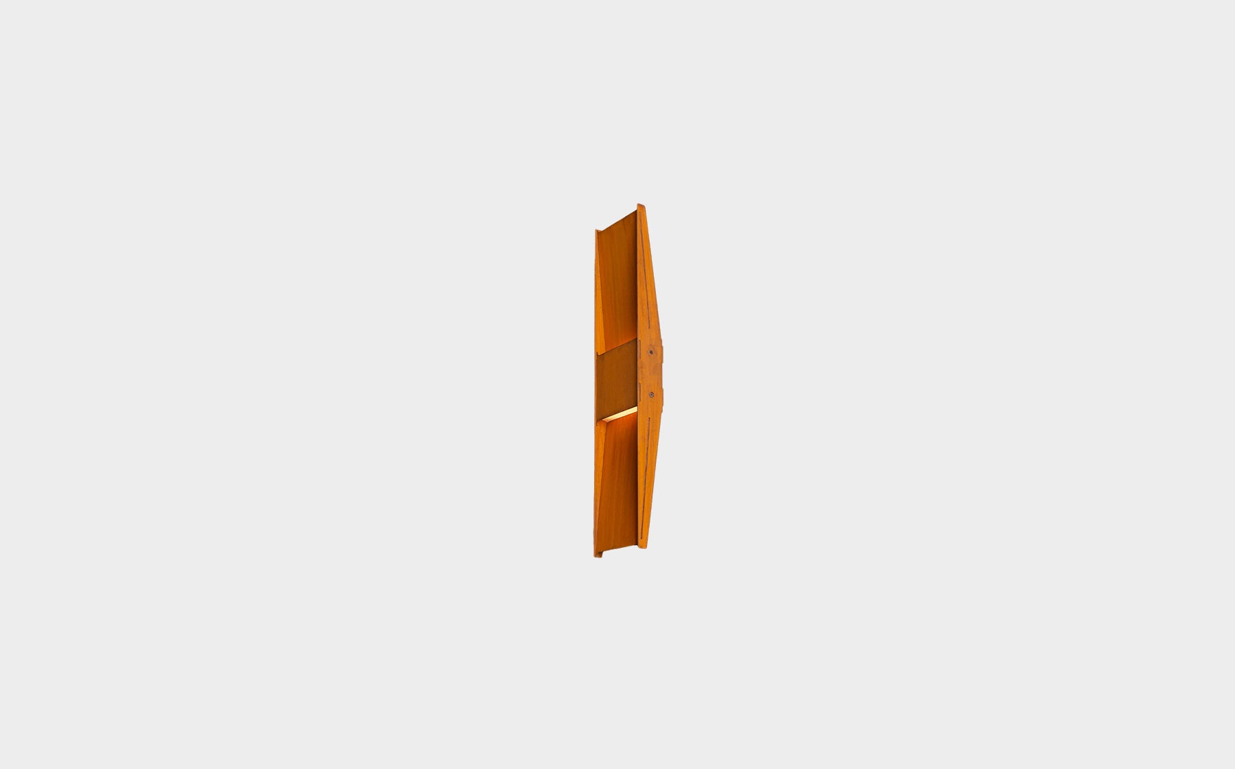 Vector Wall light