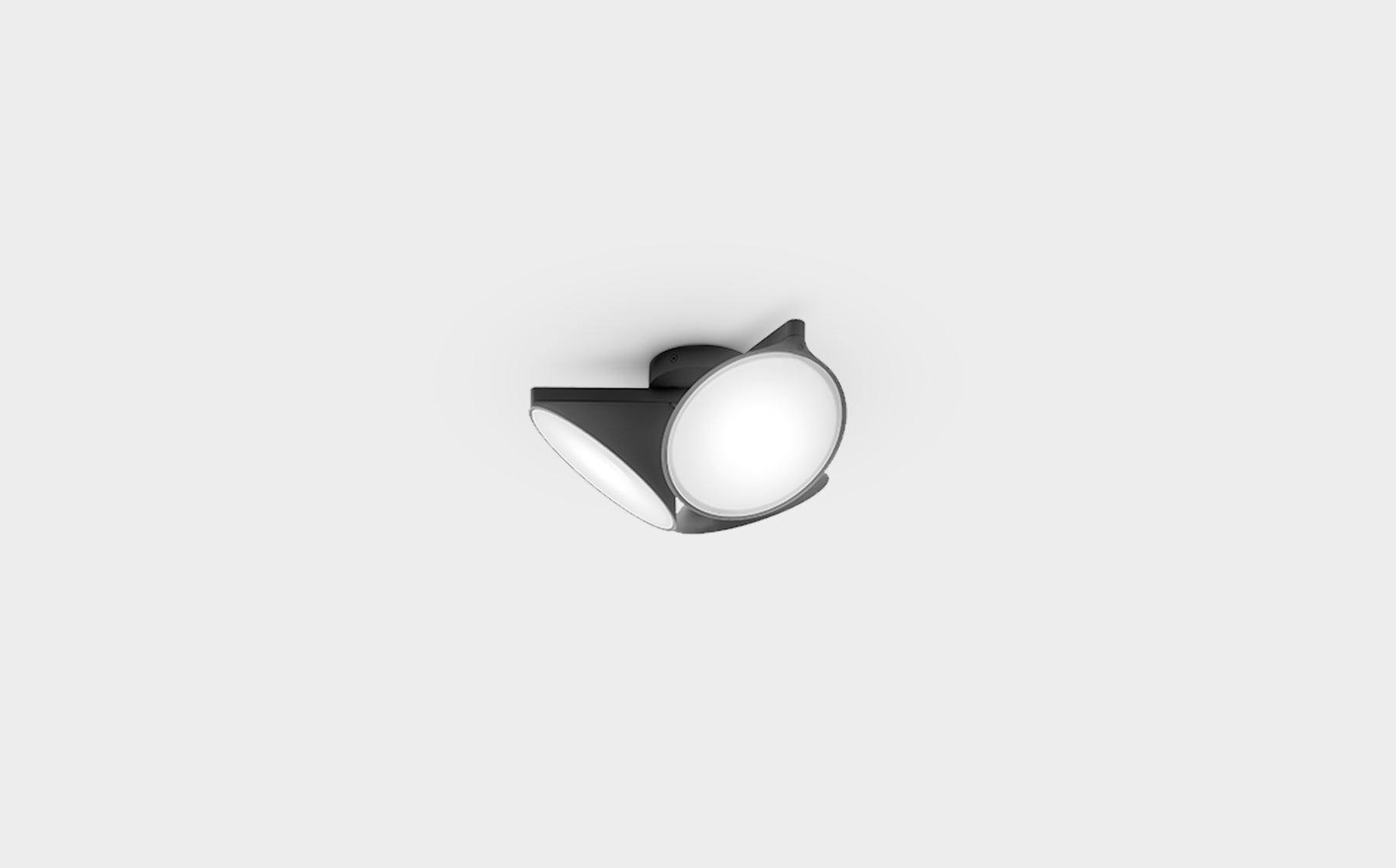 Orchid Ceiling Light