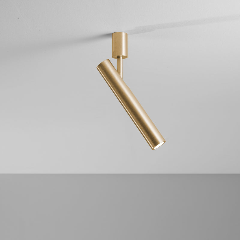 Ego Light