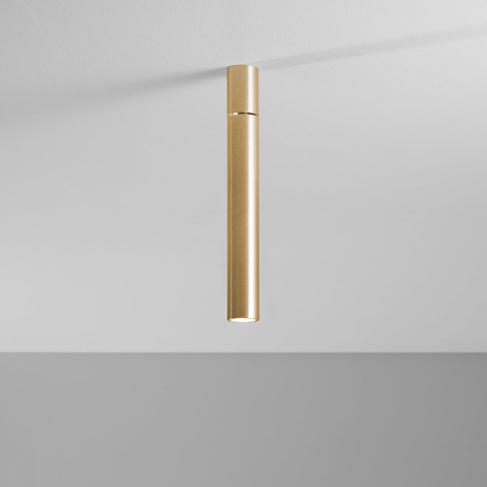 Ego Light
