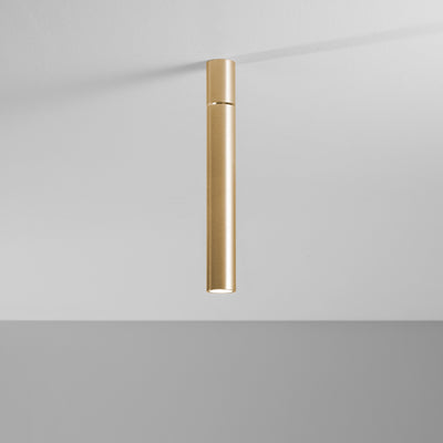 Ego Light