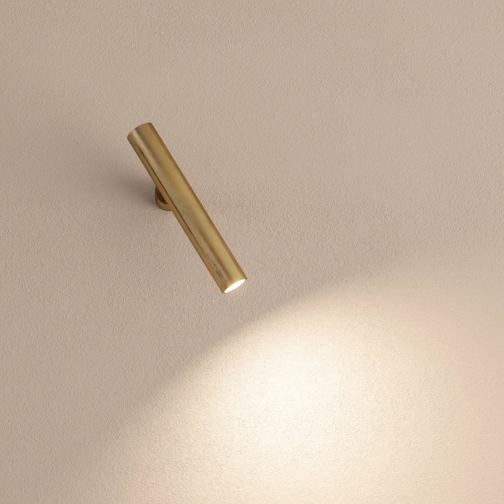 Ego Light